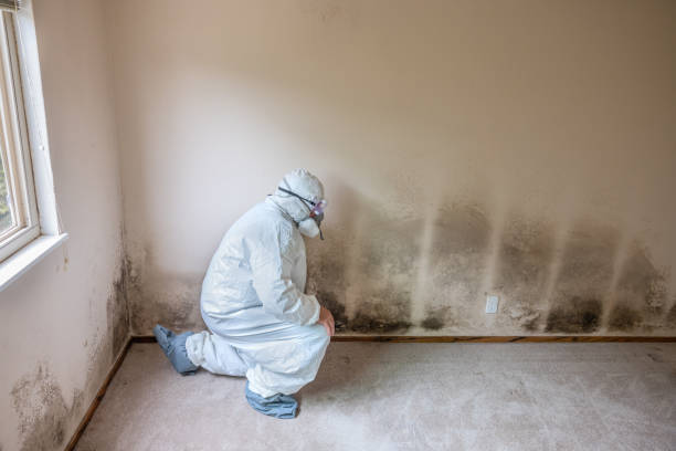 Health and Safety Mold Remediation